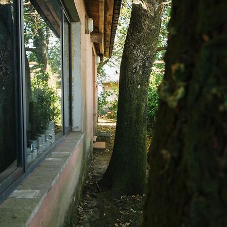 Studio/Flat Rustic Tuscan Marziani 2 Capannori Esterno foto