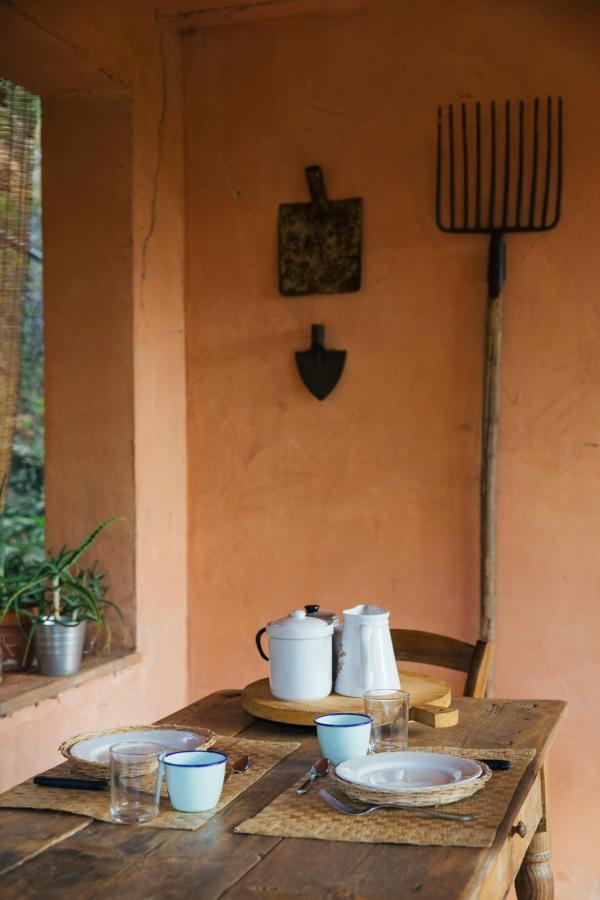 Studio/Flat Rustic Tuscan Marziani 2 Capannori Esterno foto