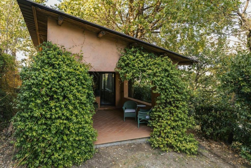 Studio/Flat Rustic Tuscan Marziani 2 Capannori Esterno foto